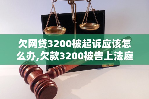 欠网贷3200被起诉应该怎么办,欠款3200被告上法庭怎么处理