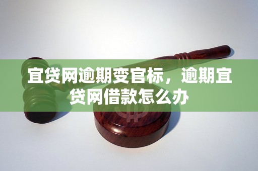 宜贷网逾期变官标，逾期宜贷网借款怎么办