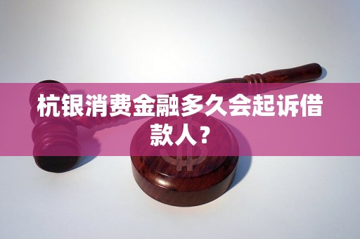 杭银消费金融多久会起诉借款人？