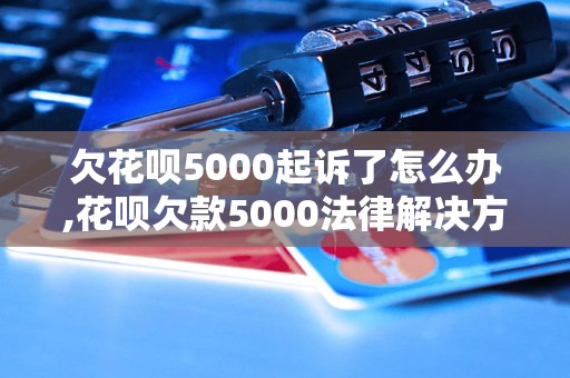 欠花呗5000起诉了怎么办,花呗欠款5000法律解决方法