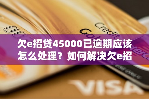 欠e招贷45000已逾期应该怎么处理？如何解决欠e招贷45000已逾期的问题？