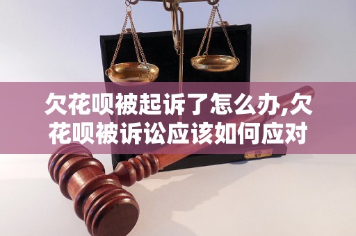 欠花呗被起诉了怎么办,欠花呗被诉讼应该如何应对