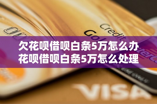 欠花呗借呗白条5万怎么办花呗借呗白条5万怎么处理