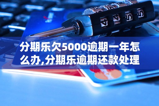 分期乐欠5000逾期一年怎么办,分期乐逾期还款处理方法