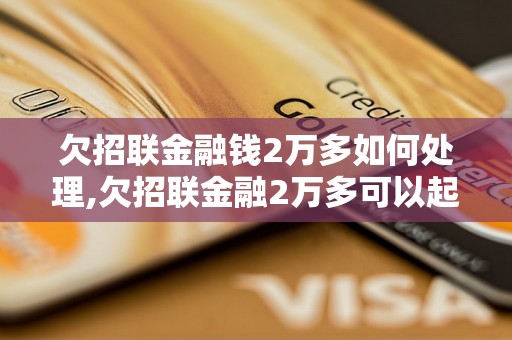 欠招联金融钱2万多如何处理,欠招联金融2万多可以起诉吗