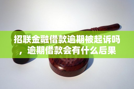 招联金融借款逾期被起诉吗，逾期借款会有什么后果