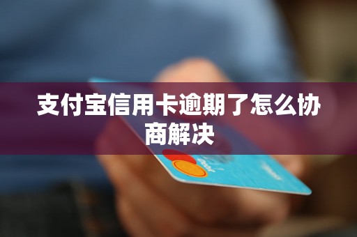 支付宝信用卡逾期了怎么协商解决