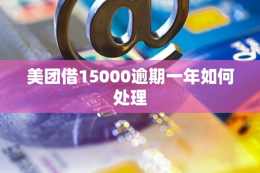 美团借15000逾期一年如何处理