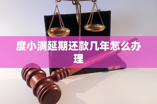 度小满延期还款几年怎么办理