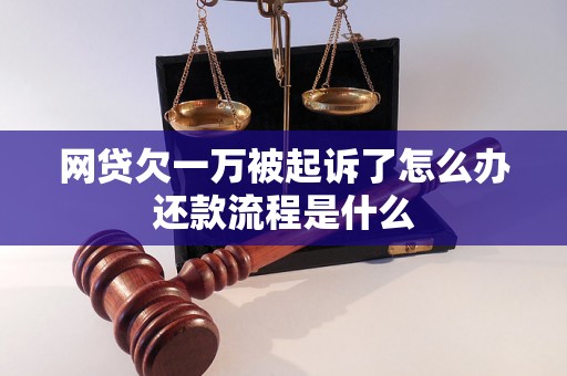 网贷欠一万被起诉了怎么办还款流程是什么