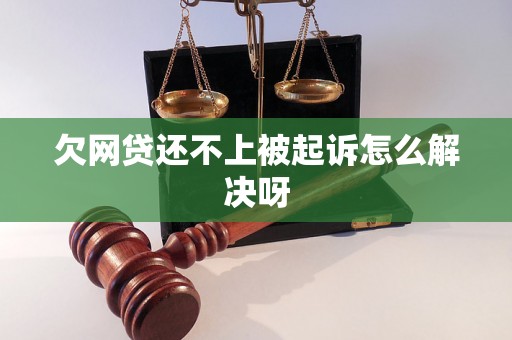 欠网贷还不上被起诉怎么解决呀