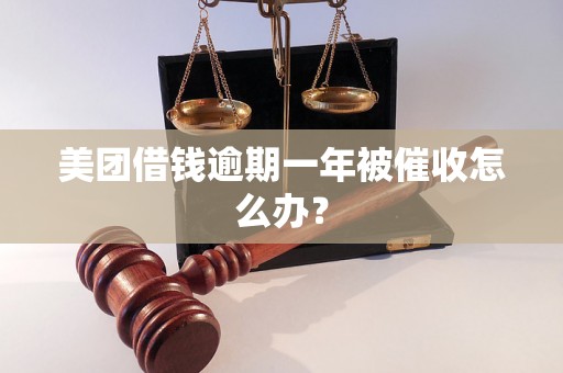 美团借钱逾期一年被催收怎么办？