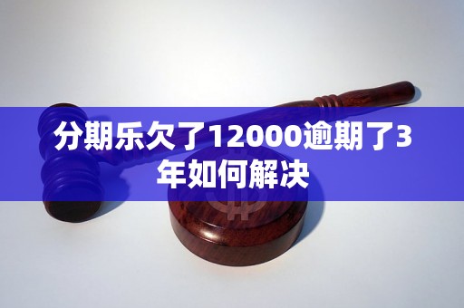 分期乐欠了12000逾期了3年如何解决