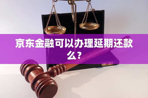 京东金融可以办理延期还款么？