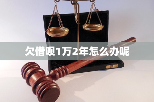 欠借呗1万2年怎么办呢