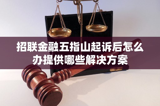 招联金融五指山起诉后怎么办提供哪些解决方案