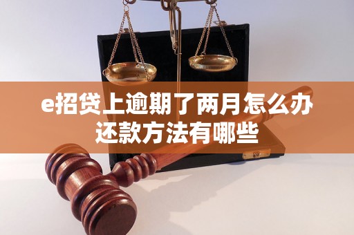 e招贷上逾期了两月怎么办还款方法有哪些