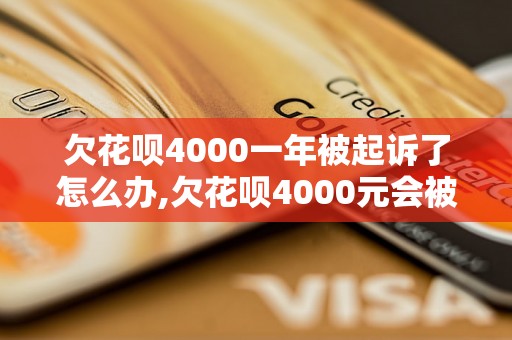 欠花呗4000一年被起诉了怎么办,欠花呗4000元会被判刑吗