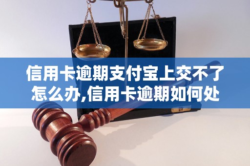 信用卡逾期支付宝上交不了怎么办,信用卡逾期如何处理