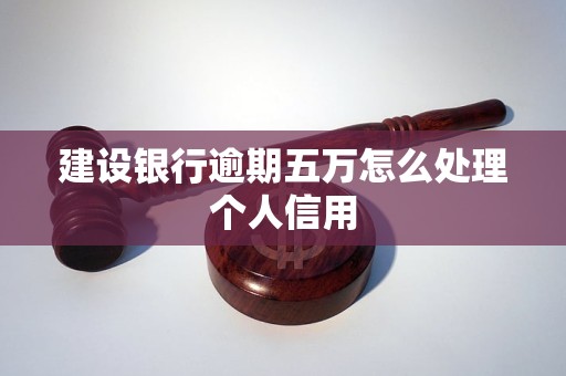 建设银行逾期五万怎么处理个人信用