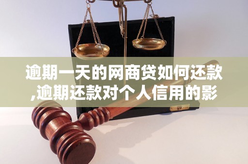 逾期一天的网商贷如何还款,逾期还款对个人信用的影响