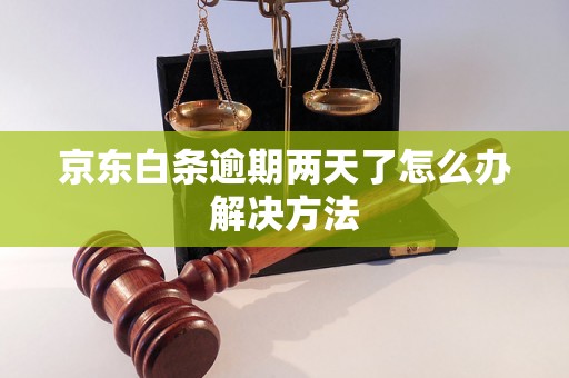 京东白条逾期两天了怎么办解决方法