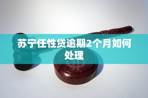 苏宁任性贷逾期2个月如何处理