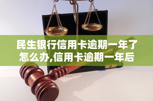 民生银行信用卡逾期一年了怎么办,信用卡逾期一年后的处理措施