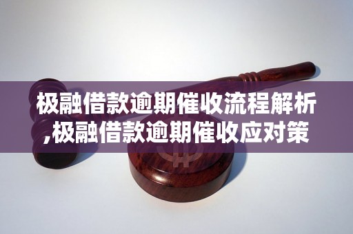 极融借款逾期催收流程解析,极融借款逾期催收应对策略