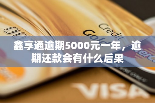 鑫享通逾期5000元一年，逾期还款会有什么后果