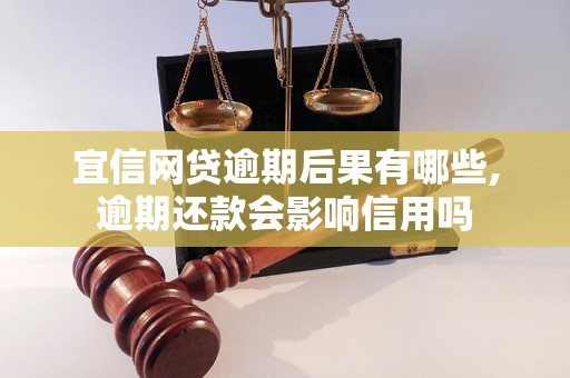 宜信网贷逾期后果有哪些,逾期还款会影响信用吗