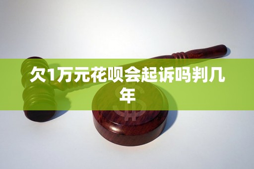 欠1万元花呗会起诉吗判几年