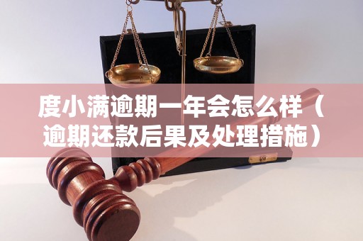 度小满逾期一年会怎么样（逾期还款后果及处理措施）