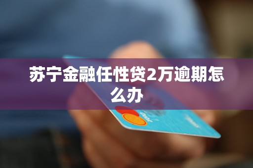 苏宁金融任性贷2万逾期怎么办