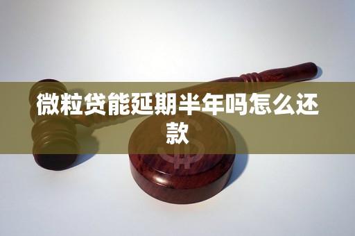 微粒贷能延期半年吗怎么还款