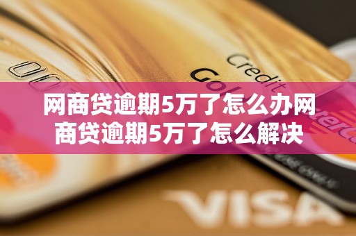 网商贷逾期5万了怎么办网商贷逾期5万了怎么解决