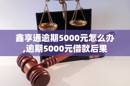 鑫享通逾期5000元怎么办,逾期5000元借款后果