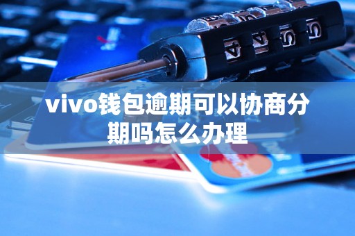 vivo钱包逾期可以协商分期吗怎么办理