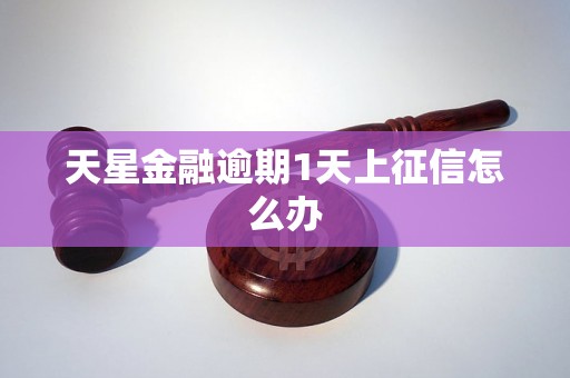 天星金融逾期1天上征信怎么办