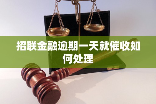 招联金融逾期一天就催收如何处理