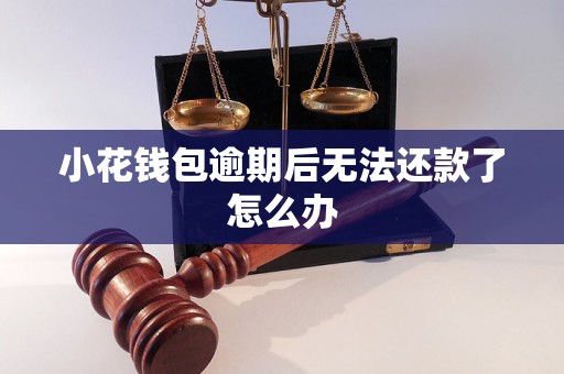 小花钱包逾期后无法还款了怎么办