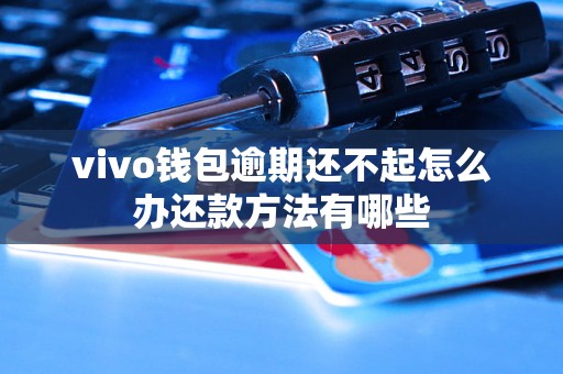 vivo钱包逾期还不起怎么办还款方法有哪些