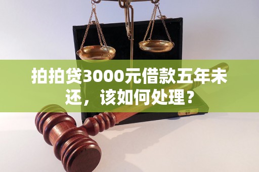 拍拍贷3000元借款五年未还，该如何处理？