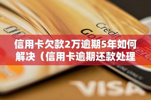 信用卡欠款2万逾期5年如何解决（信用卡逾期还款处理方法）