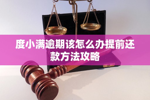 度小满逾期该怎么办提前还款方法攻略