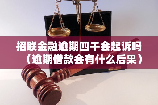 招联金融逾期四千会起诉吗（逾期借款会有什么后果）