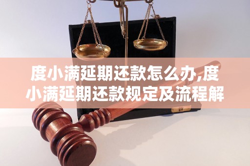 度小满延期还款怎么办,度小满延期还款规定及流程解析