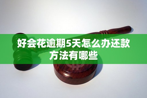 好会花逾期5天怎么办还款方法有哪些