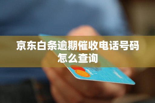 京东白条逾期催收电话号码怎么查询