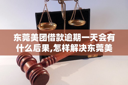 东莞美团借款逾期一天会有什么后果,怎样解决东莞美团借款逾期问题